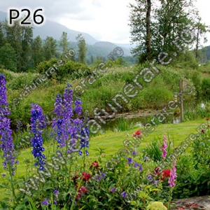 Optiuni produs - P26