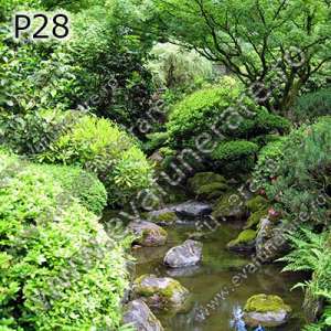 Optiuni produs - P28