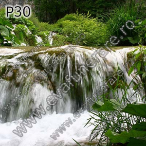 Optiuni produs - P30