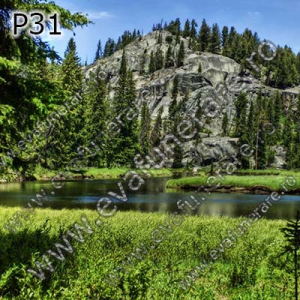 Optiuni produs - P31
