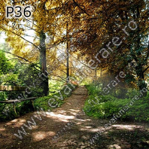 Optiuni produs - P36