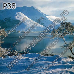 Optiuni produs - P38