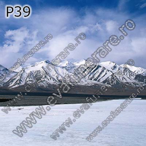 Optiuni produs - P39
