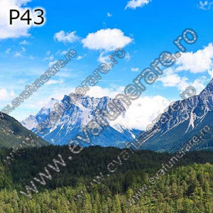 Optiuni produs - P43