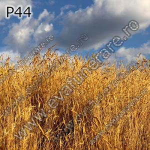 Optiuni produs - P44