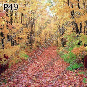 Optiuni produs - P49