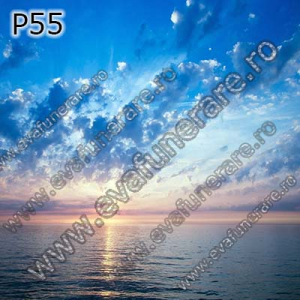 Optiuni produs - P55