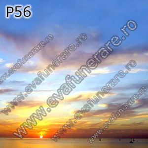 Optiuni produs - P56