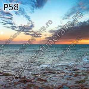 Optiuni produs - P58