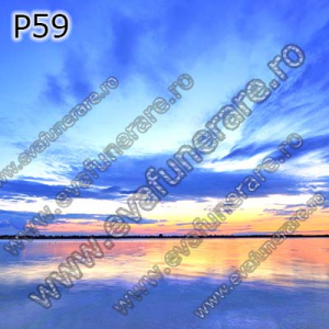 Optiuni produs - P59