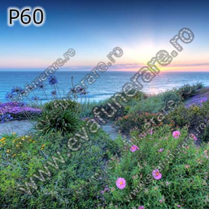 Optiuni produs - P60