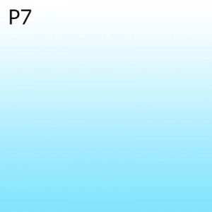 Optiuni produs - P7