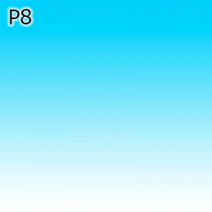 Optiuni produs - P8