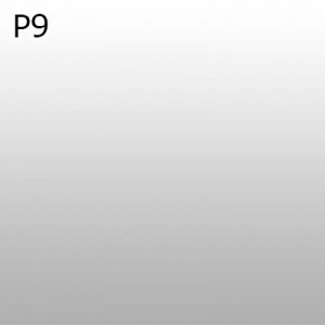 Optiuni produs - P9