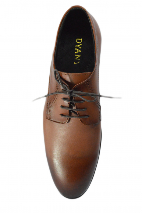 Pantofi barbati, DYANY, Piele naturala,  Maro,  ta1214 [3]