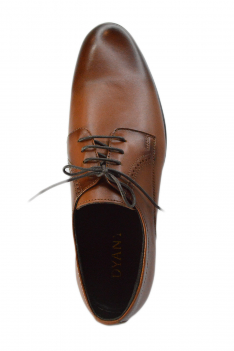 Pantofi barbati, DYANY, Piele naturala,  Maro,  ta1214 [4]