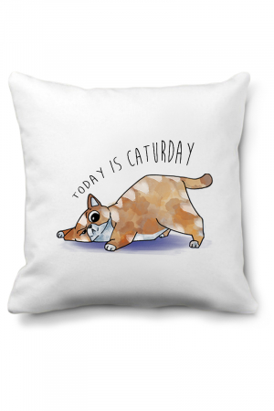 Perne personalizate - Perna Today is caturday