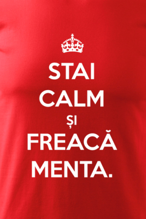Tricou stai calm [1]