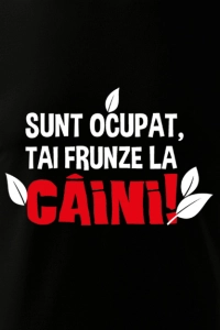 Tricou Sunt ocupat [1]
