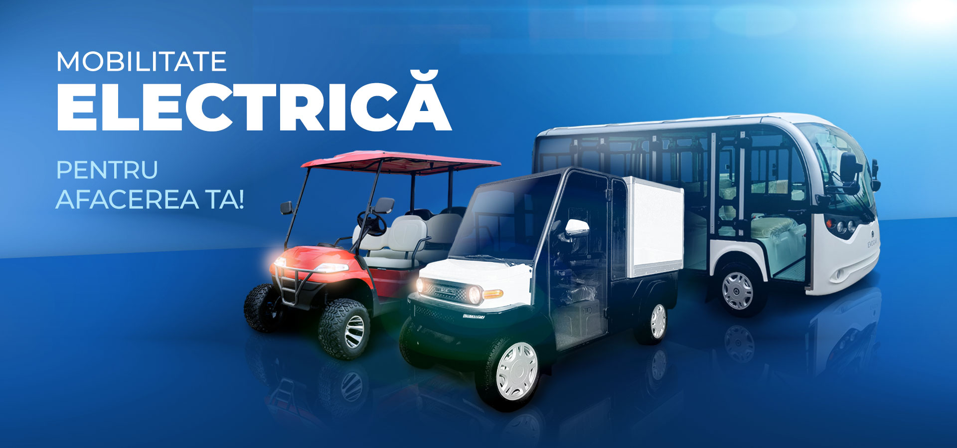 Masini Electrice Utilitare