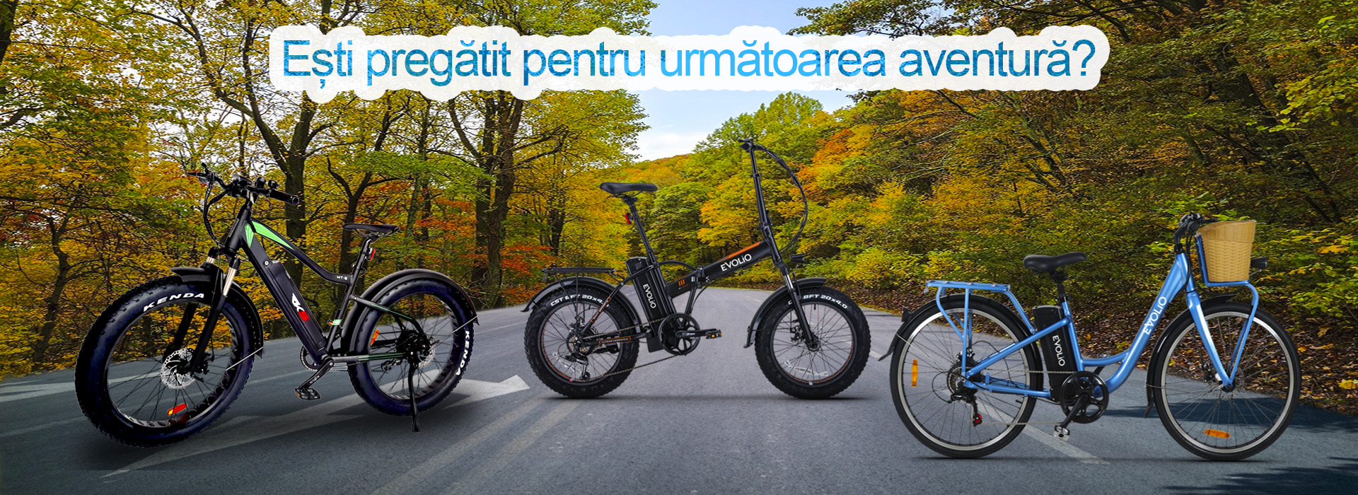 Biciclete Electrice X-Bike