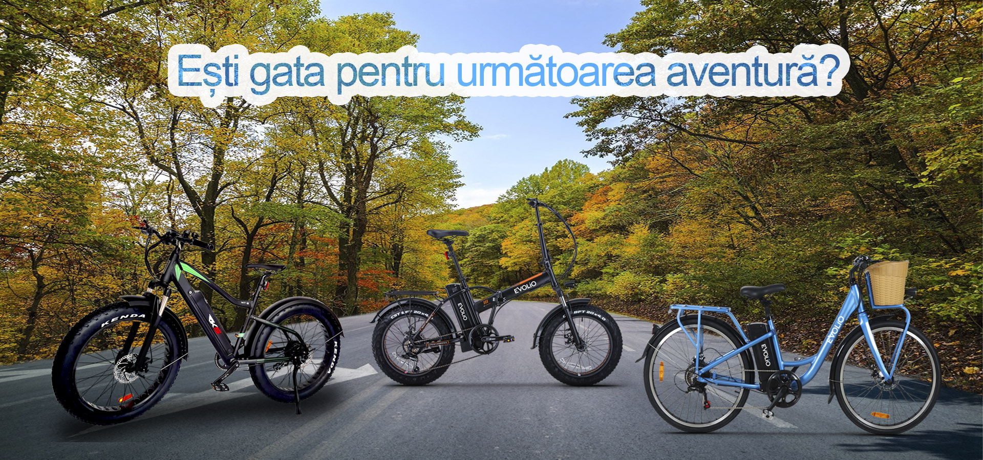 Biciclete Electrice X-Bike