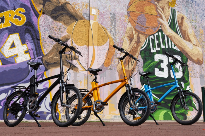 Electric Bike GOTHAM [6]