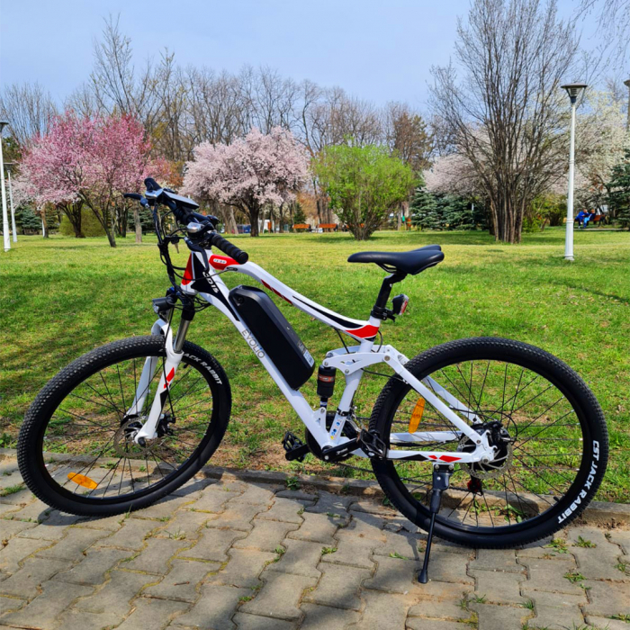 Electric Bike TX3 [9]