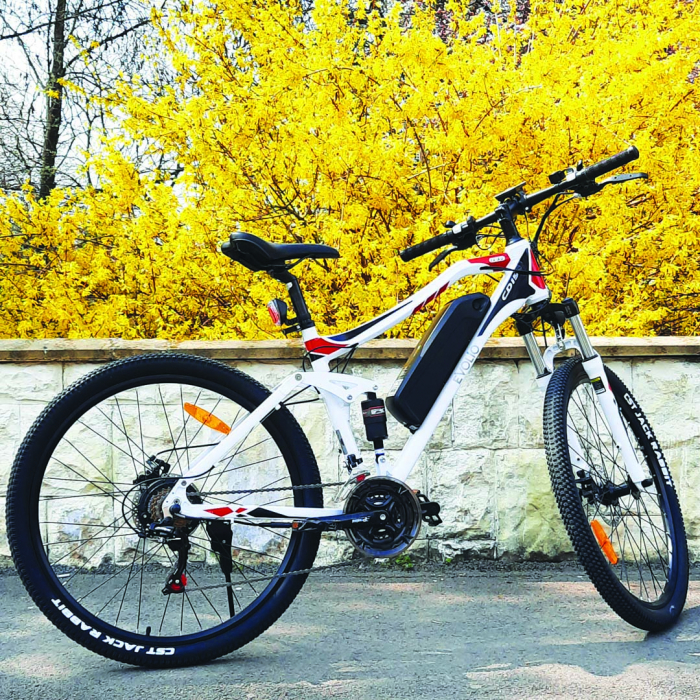 Electric Bike TX3 SMART [10]
