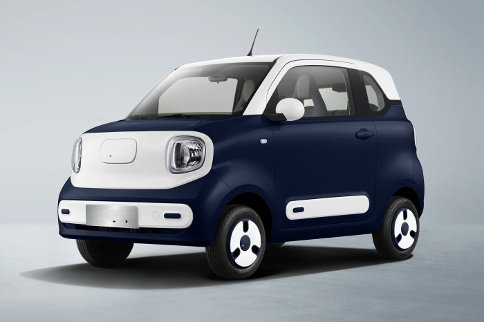 Masina Electrica B1 4 locuri [3]