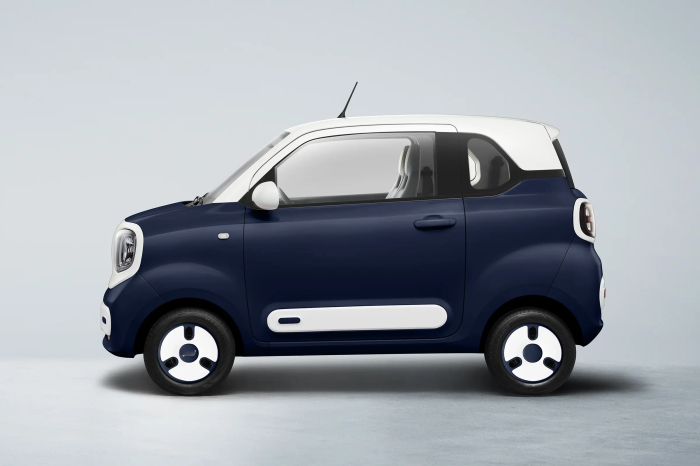 Masina Electrica B1 4 locuri [4]