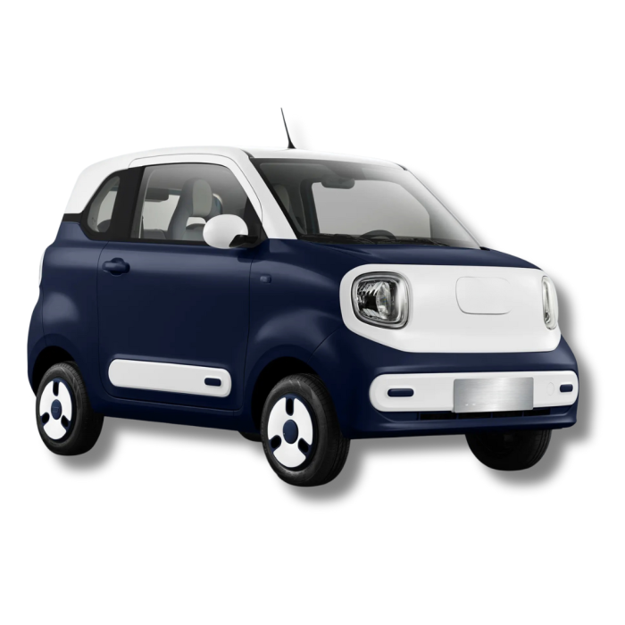 Masina Electrica B1 4 locuri [2]