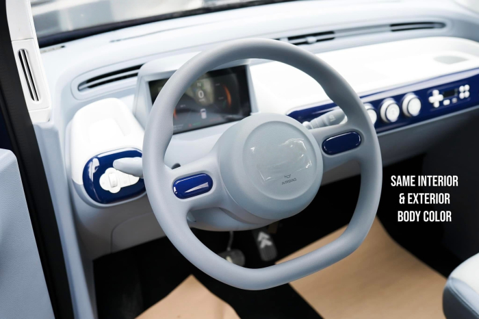 Masina Electrica B1 4 locuri - Standard [17]