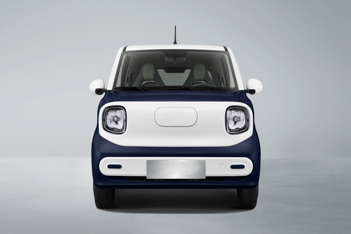 Masina Electrica B1 4 locuri [6]