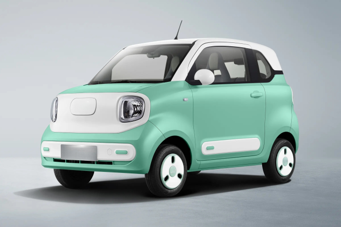 Masina Electrica B1 4 locuri - Premium [33]