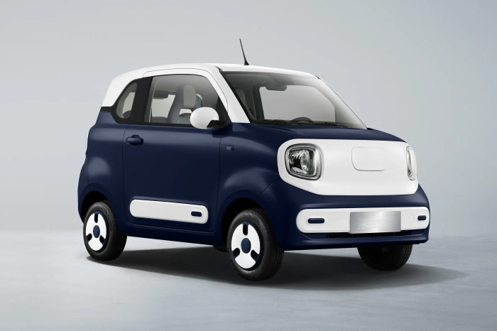 Masina Electrica B1 4 locuri - Standard [28]