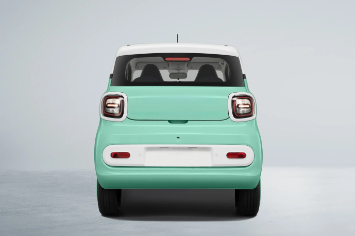 Masina Electrica B1 4 locuri - Standard [6]