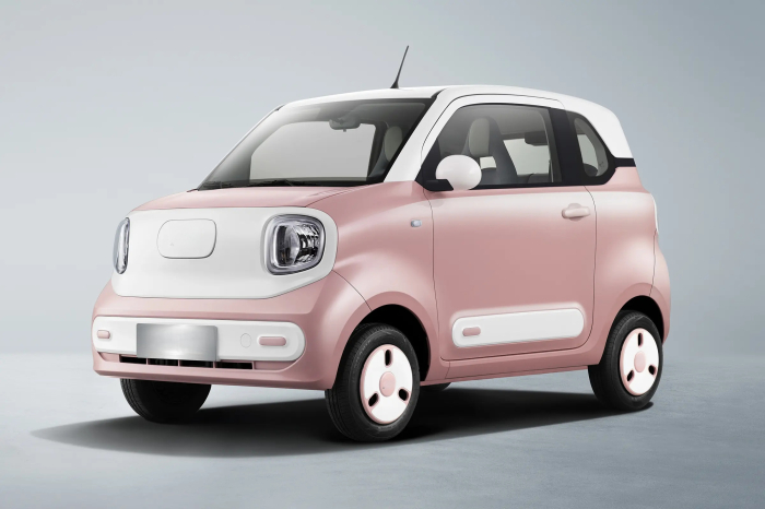 Masina Electrica B1 4 locuri - Standard [29]