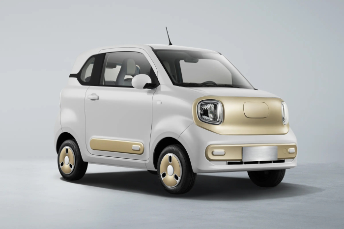 Masina Electrica B1 4 locuri - Standard [30]