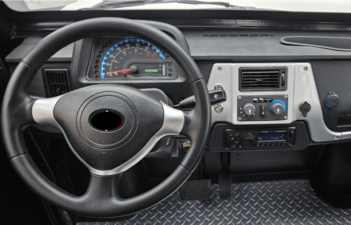 Masina Utilitara Electrica Van PLUS [10]