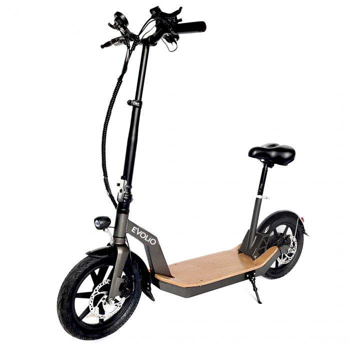 Electric scooter ZEN [2]