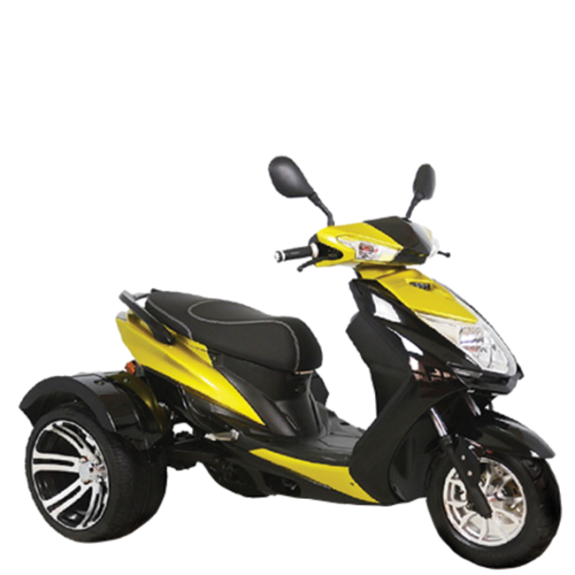 Electric Scooter TRIUS [1]