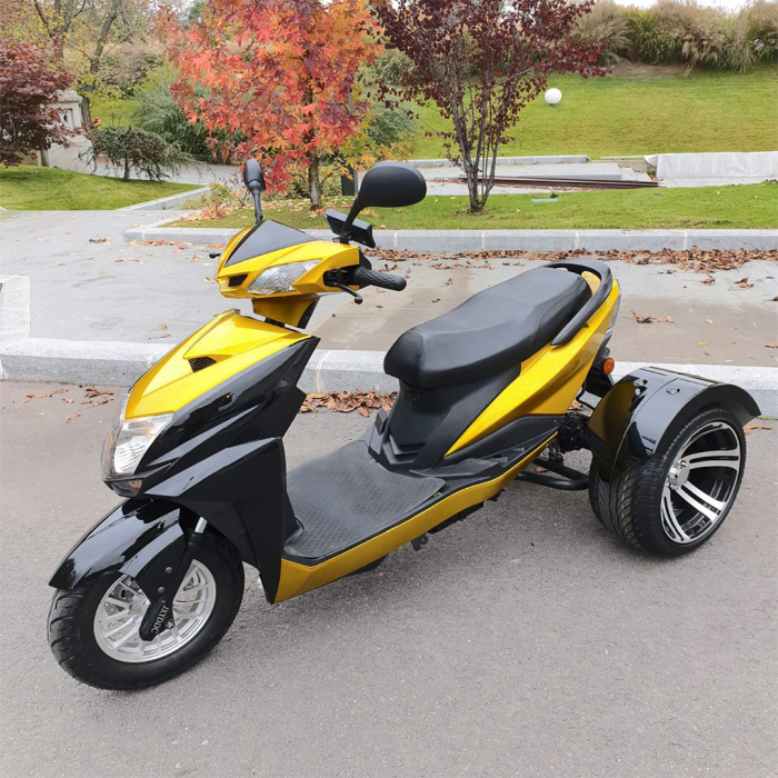 Electric Scooter TRIUS SMART [2]