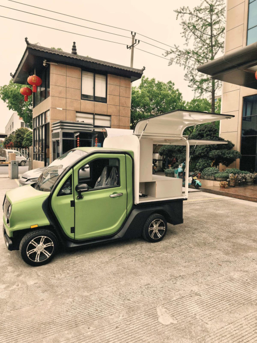 Electric Car Van EV600+ [4]