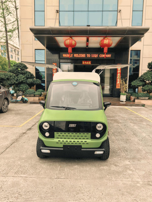 Electric Car Van EV600+ [5]