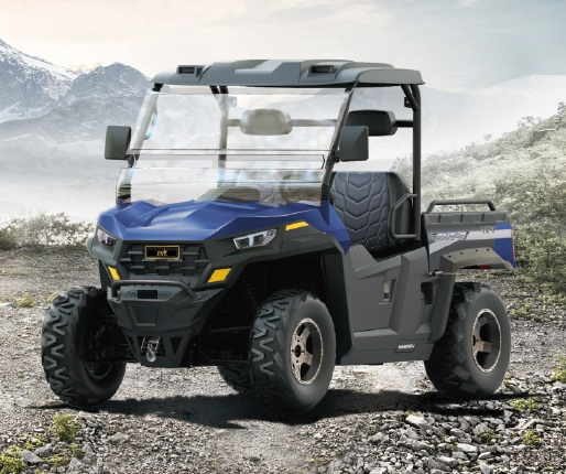 UTV Electric adulti 2 locuri [3]