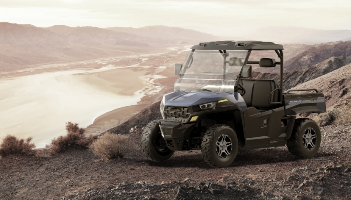 UTV Electric adulti 2 locuri [6]