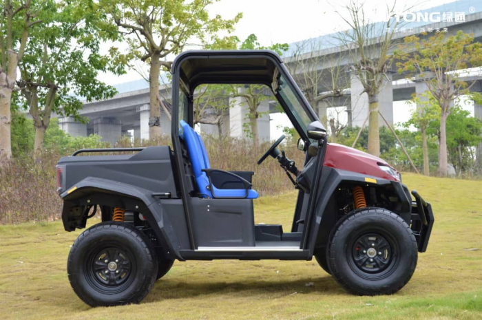 UTV Electric 2 locuri - Deschis [3]