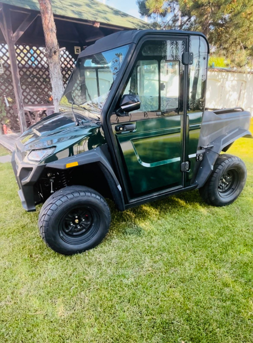 UTV Electric 2 locuri - Inchis [4]