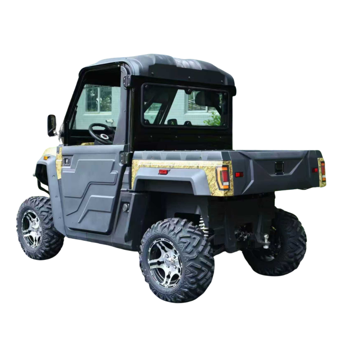 UTV Electric adulti 2 locuri [2]